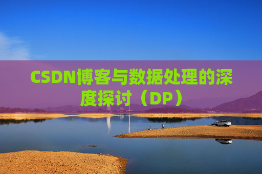 CSDN博客与数据处理的深度探讨（DP）